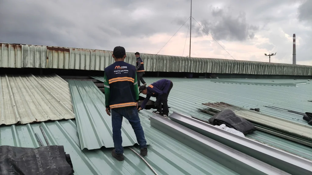 Tôn mới được lợp lại ngay khi vừa tháo tôn củ ra.
