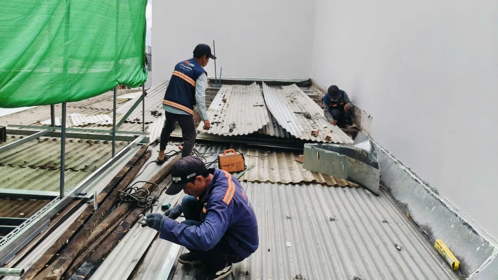 Tháo tôn củ theo từng khu vực.