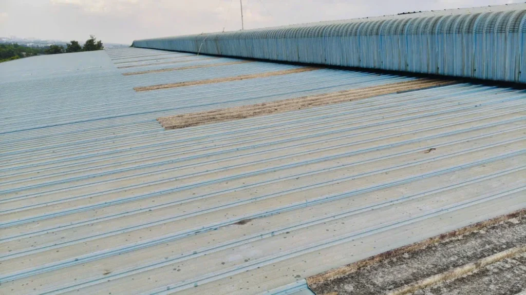 Hiện trạng các dải tôn lấy sáng composite cũ bị ố sẫm trên mái nhà xưởng