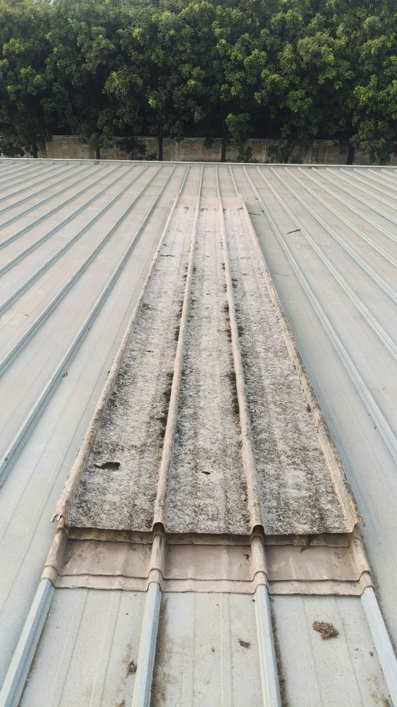 tháo dở tấm tôn composite củ.